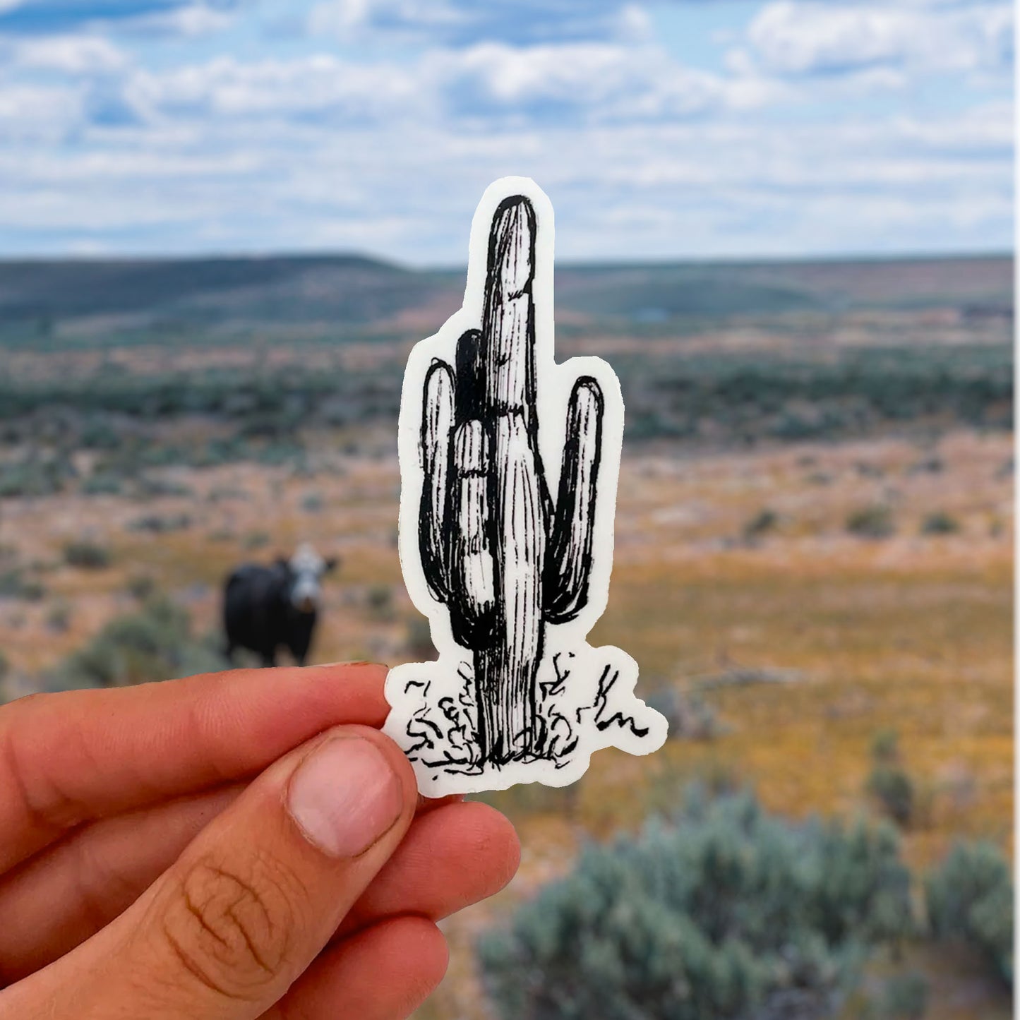 Cactus Sticker