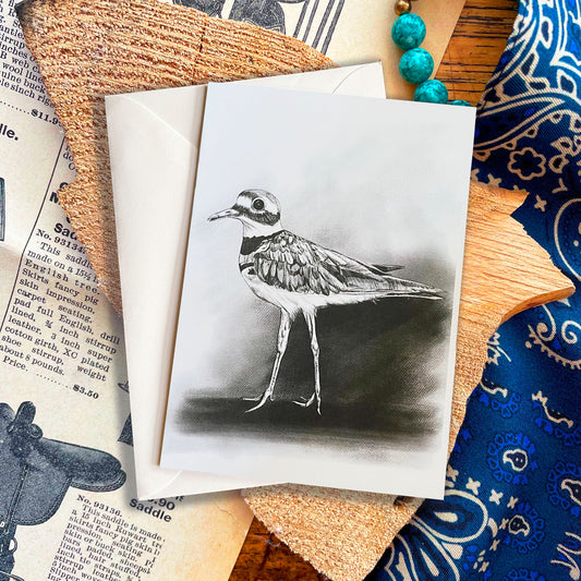 Killdeer Greeting Card