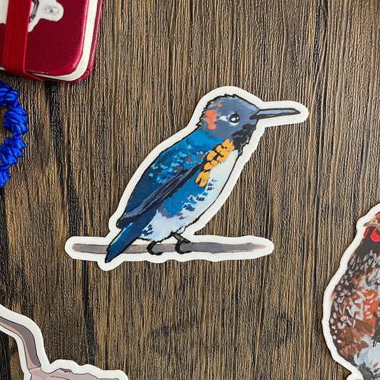 Hummingbird Sticker